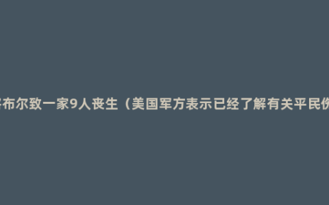 美军空袭喀布尔致一家9人丧生（美国军方表示已经了解有关平民伤亡的报道）