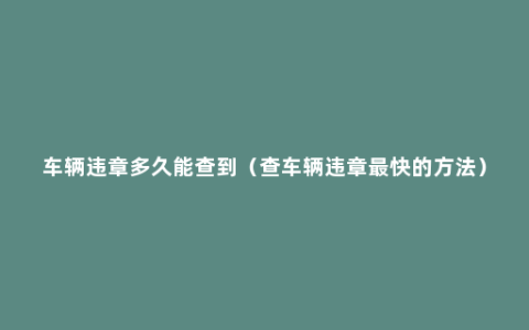 车辆违章多久能查到（查车辆违章最快的方法）