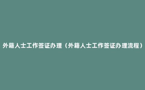 外籍人士工作签证办理（外籍人士工作签证办理流程）