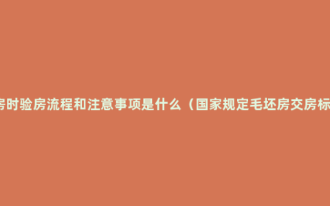 交房时验房流程和注意事项是什么（国家规定毛坯房交房标准）