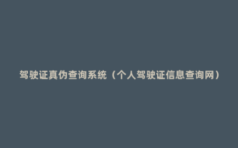 驾驶证真伪查询系统（个人驾驶证信息查询网）