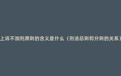 上诉不加刑原则的含义是什么（刑法总则和分则的关系）