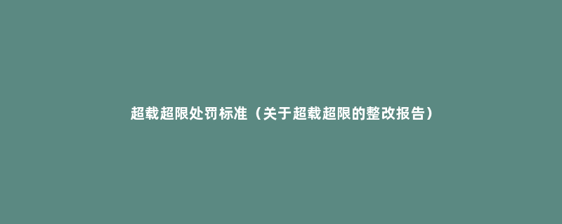 超载超限处罚标准（关于超载超限的整改报告）