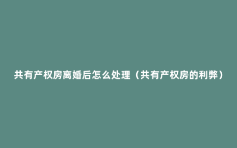 共有产权房离婚后怎么处理（共有产权房的利弊）