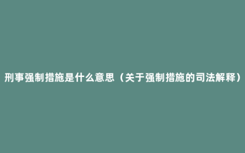 刑事强制措施是什么意思（关于强制措施的司法解释）