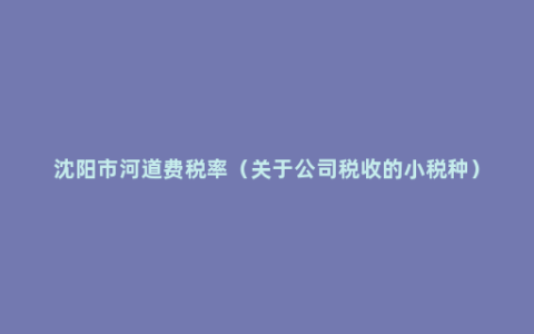 沈阳市河道费税率（关于公司税收的小税种）