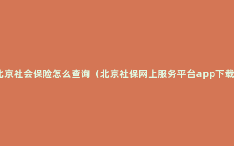 北京社会保险怎么查询（北京社保网上服务平台app下载）