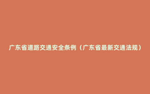 广东省道路交通安全条例（广东省最新交通法规）