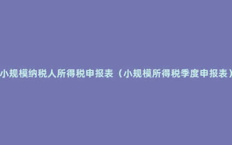 小规模纳税人所得税申报表（小规模所得税季度申报表）