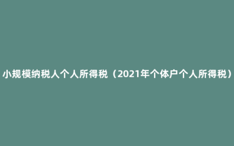 小规模纳税人个人所得税（2021年个体户个人所得税）