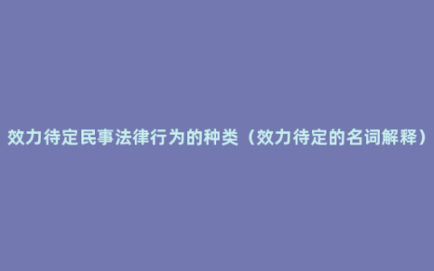 效力待定民事法律行为的种类（效力待定的名词解释）