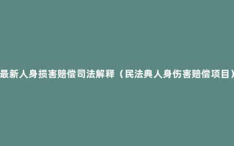 最新人身损害赔偿司法解释（民法典人身伤害赔偿项目）