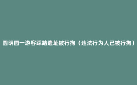 圆明园一游客踩踏遗址被行拘（违法行为人已被行拘）