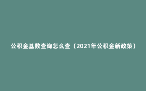 公积金基数查询怎么查（2021年公积金新政策）