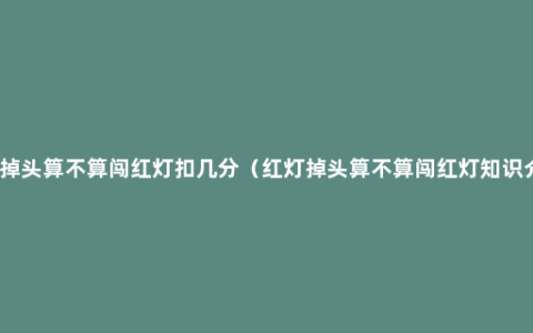 红灯掉头算不算闯红灯扣几分（红灯掉头算不算闯红灯知识介绍）