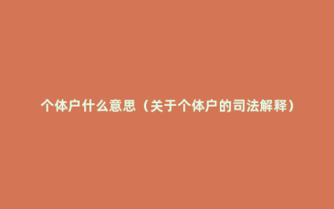 个体户什么意思（关于个体户的司法解释）