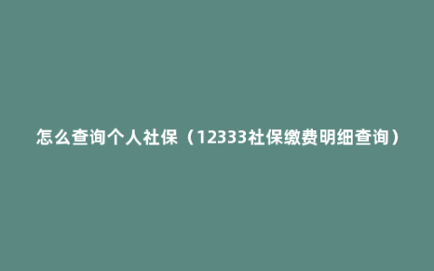 怎么查询个人社保（12333社保缴费明细查询）