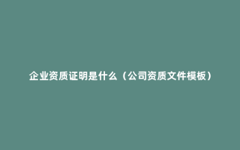 企业资质证明是什么（公司资质文件模板）