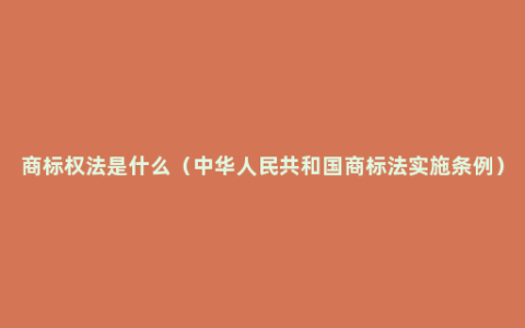 商标权法是什么（中华人民共和国商标法实施条例）