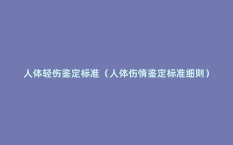 人体轻伤鉴定标准（人体伤情鉴定标准细则）