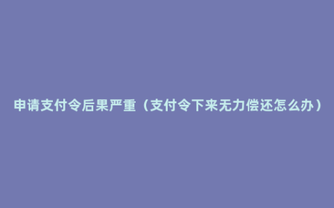 申请支付令后果严重（支付令下来无力偿还怎么办）