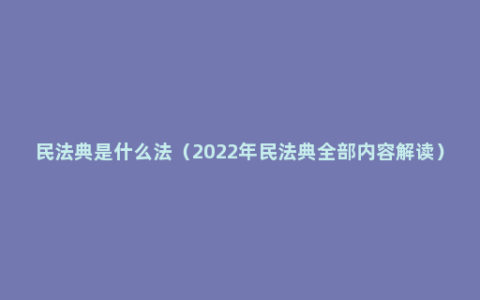 民法典是什么法（2022年民法典全部内容解读）