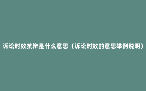 诉讼时效抗辩是什么意思（诉讼时效的意思举例说明）