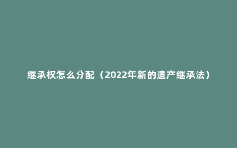 继承权怎么分配（2022年新的遗产继承法）