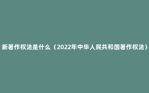 新著作权法是什么（2022年中华人民共和国著作权法）