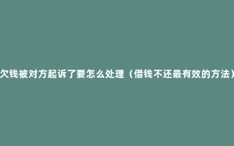 欠钱被对方起诉了要怎么处理（借钱不还最有效的方法）