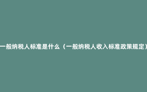 一般纳税人标准是什么（一般纳税人收入标准政策规定）