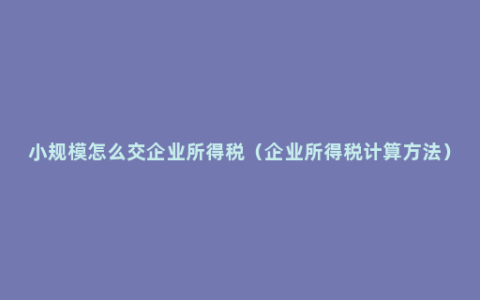 小规模怎么交企业所得税（企业所得税计算方法）