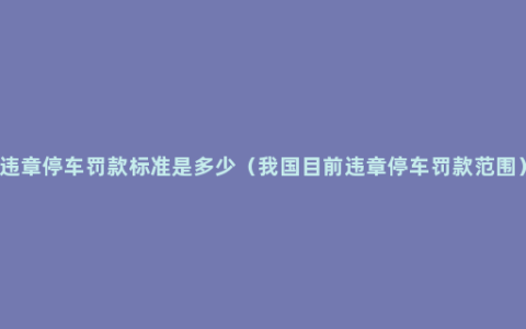 违章停车罚款标准是多少（我国目前违章停车罚款范围）