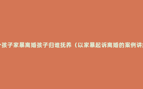 2个孩子家暴离婚孩子归谁抚养（以家暴起诉离婚的案例讲解）