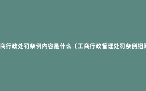 工商行政处罚条例内容是什么（工商行政管理处罚条例细则）