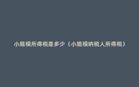 小规模所得税是多少（小规模纳税人所得税）