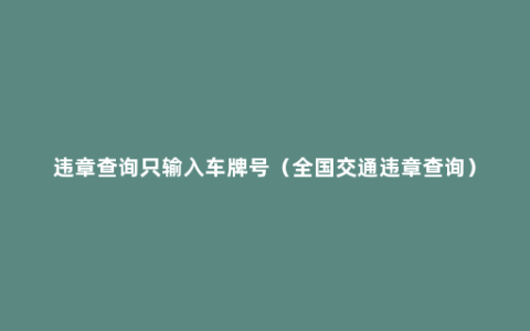 违章查询只输入车牌号（全国交通违章查询）