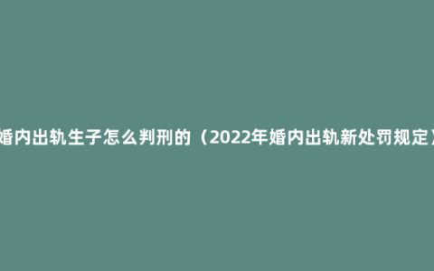 婚内出轨生子怎么判刑的（2022年婚内出轨新处罚规定）