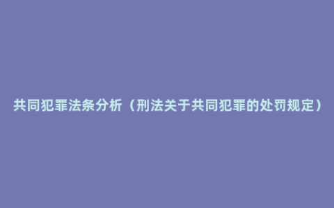 共同犯罪法条分析（刑法关于共同犯罪的处罚规定）