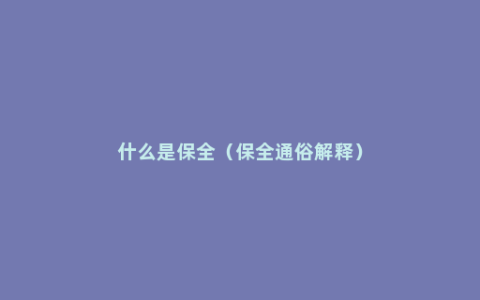 什么是保全（保全通俗解释）