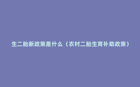 生二胎新政策是什么（农村二胎生育补助政策）