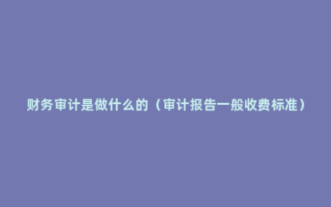 财务审计是做什么的（审计报告一般收费标准）