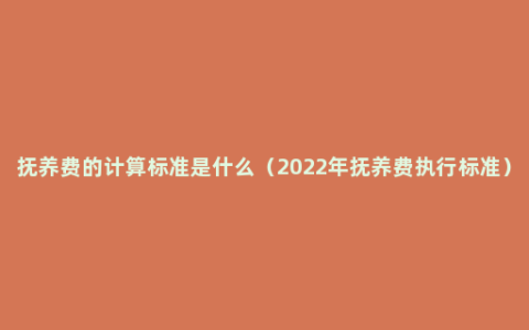 抚养费的计算标准是什么（2022年抚养费执行标准）