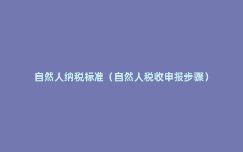 自然人纳税标准（自然人税收申报步骤）