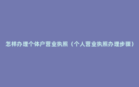 怎样办理个体户营业执照（个人营业执照办理步骤）