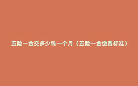 五险一金交多少钱一个月（五险一金缴费标准）