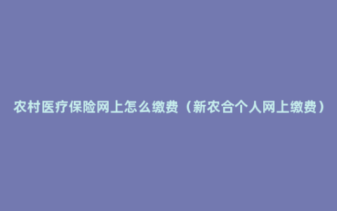 农村医疗保险网上怎么缴费（新农合个人网上缴费）