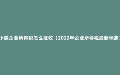 小微企业所得税怎么征收（2022年企业所得税最新标准）