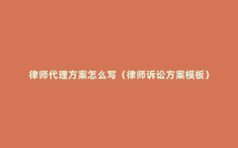 律师代理方案怎么写（律师诉讼方案模板）