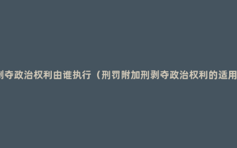 剥夺政治权利由谁执行（刑罚附加刑剥夺政治权利的适用）